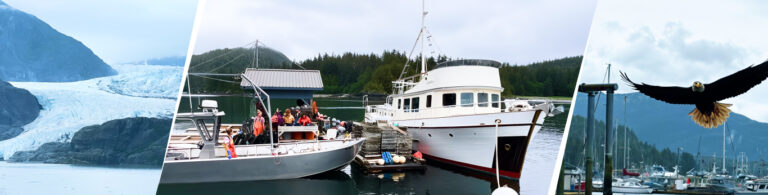 Field Notes from Alaska